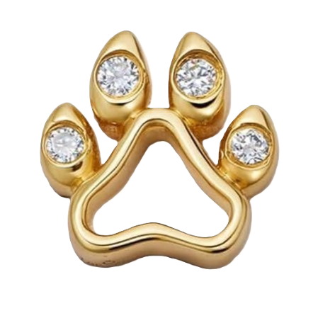 Necklace Charm - Claws Diamond