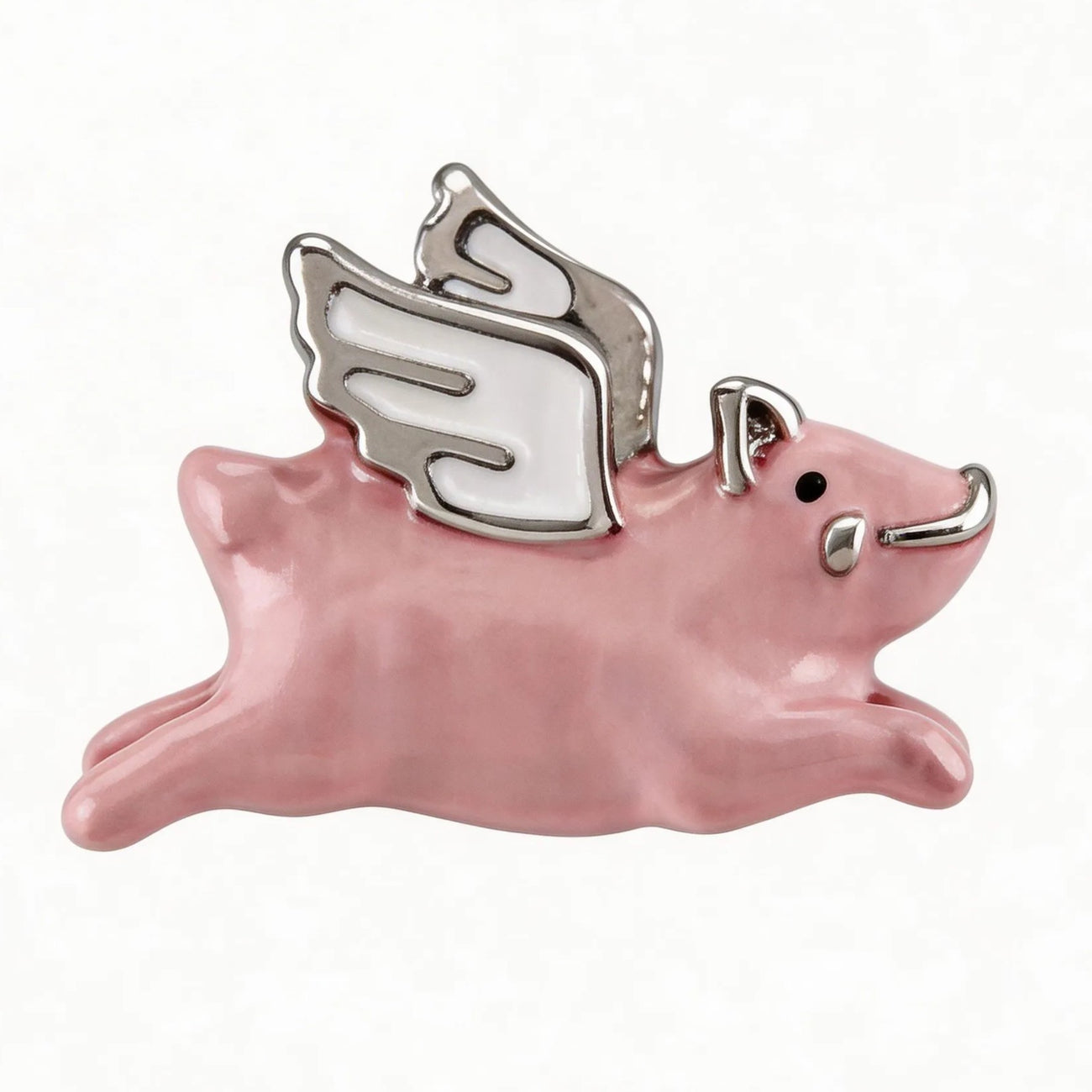 Flying pig