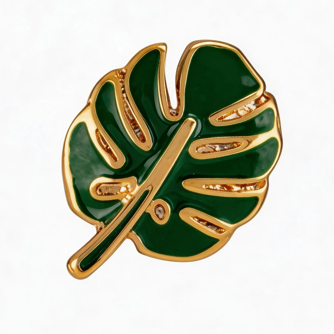 Monstera leaf