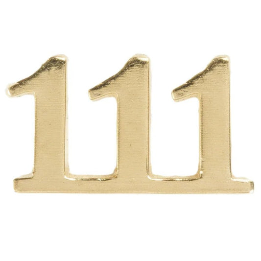 Angel number 111 - Ava Delora