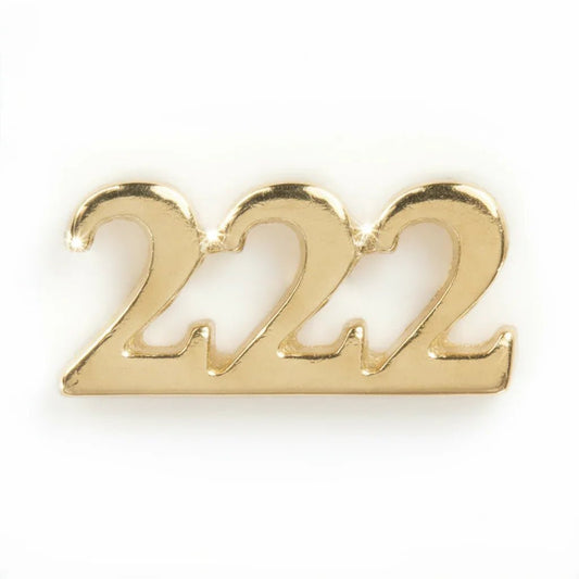 Angel number 222 - Ava Delora