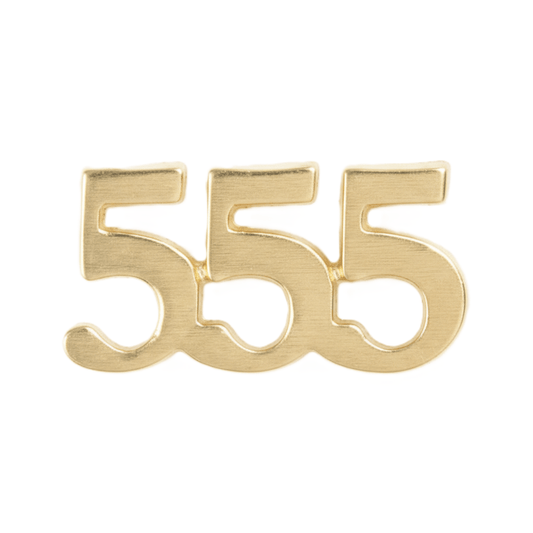 Angel number 555 - Ava Delora