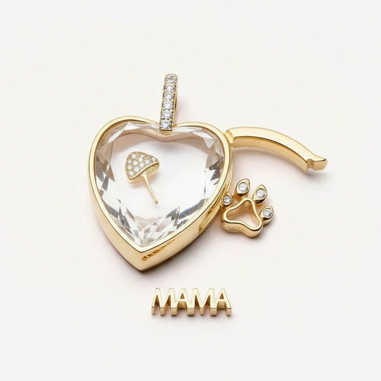 Ava Delora Locket Necklace - Ava Delora